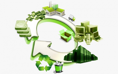 We load, we dispose correctly, we do all the legal paperwork.